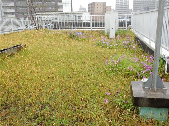 画像の説明 画像の説明