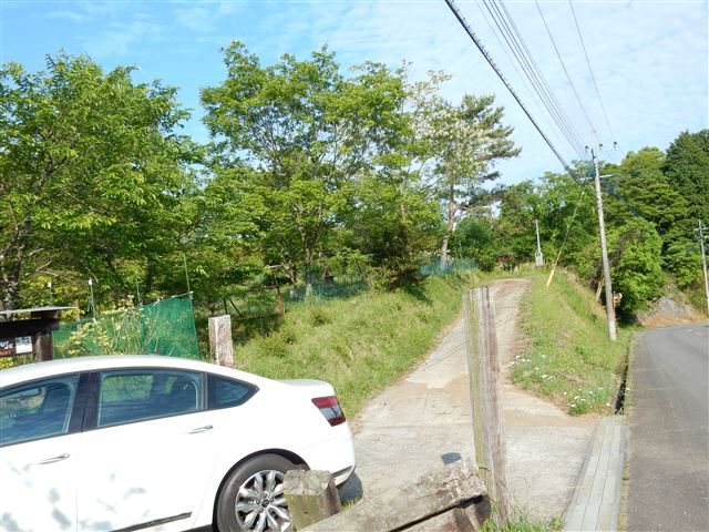 画像の説明 画像の説明