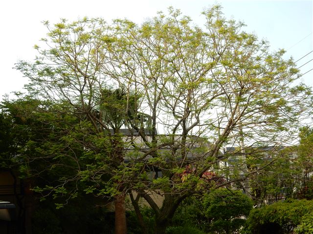 画像の説明 画像の説明