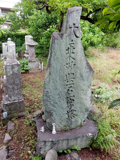 画像の説明