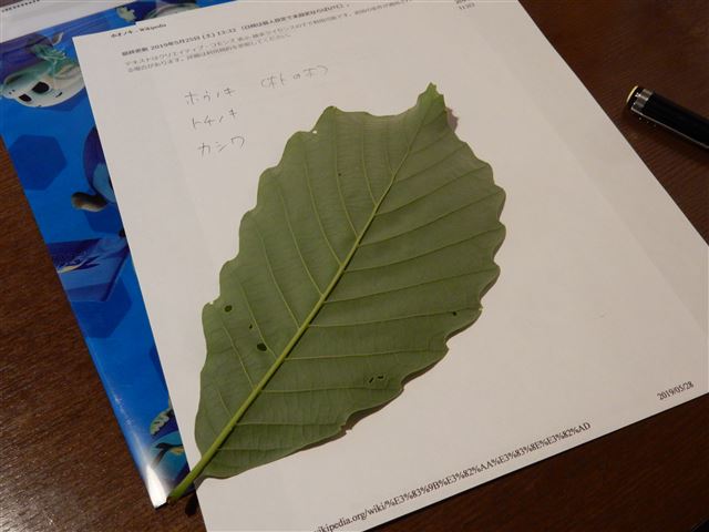 画像の説明