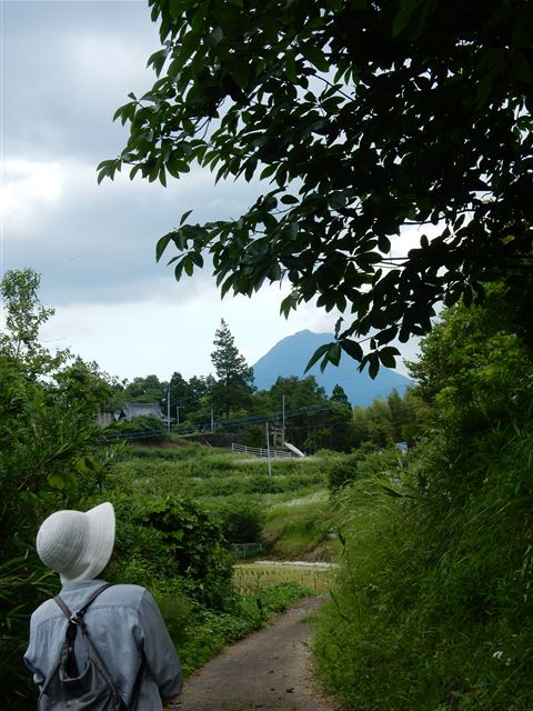 画像の説明