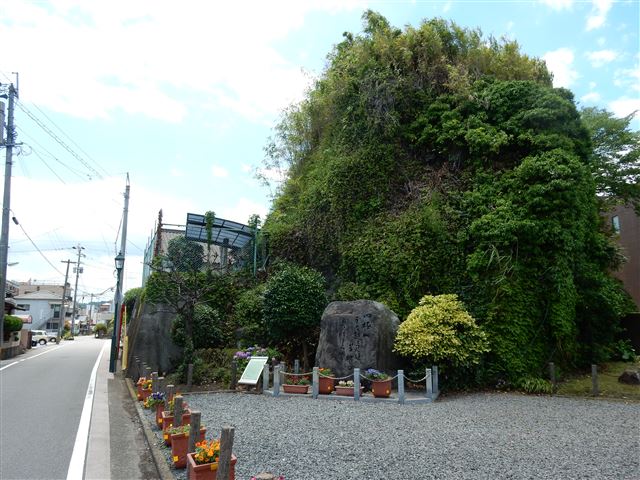画像の説明