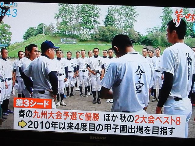 画像の説明