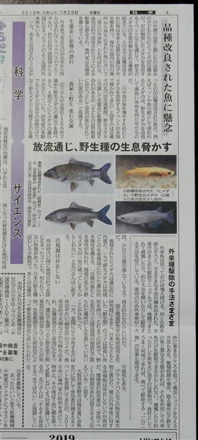 画像の説明