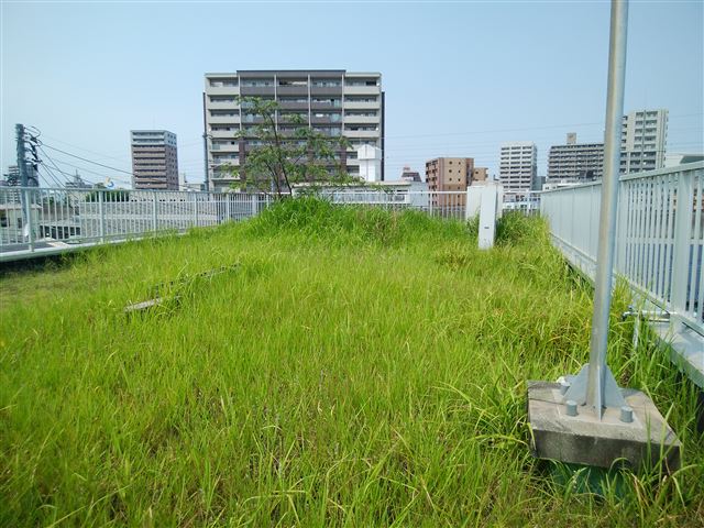 画像の説明