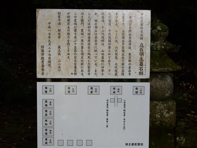 画像の説明