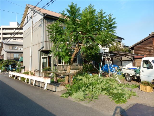 画像の説明