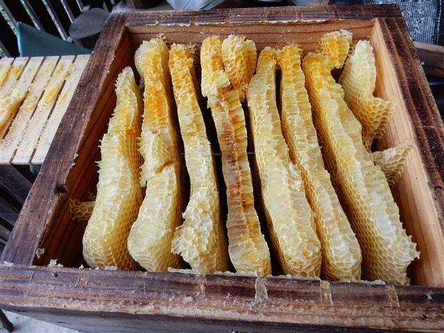 画像の説明