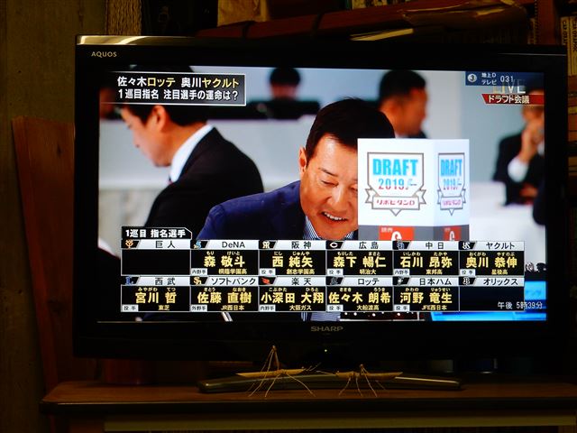 画像の説明