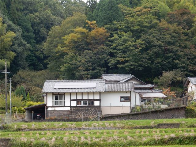 画像の説明