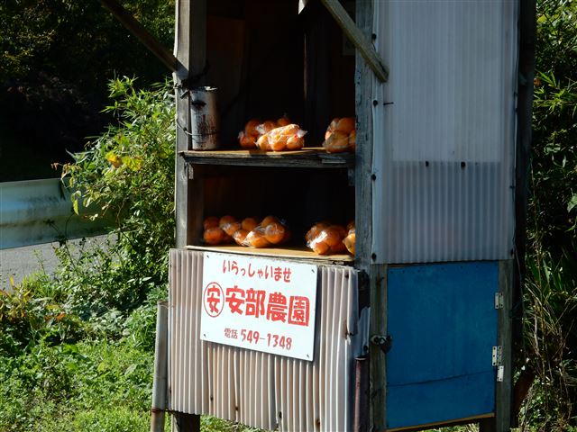 画像の説明