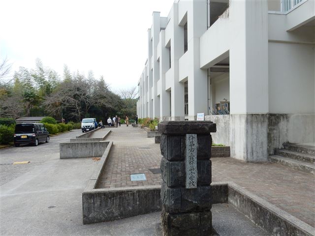 画像の説明