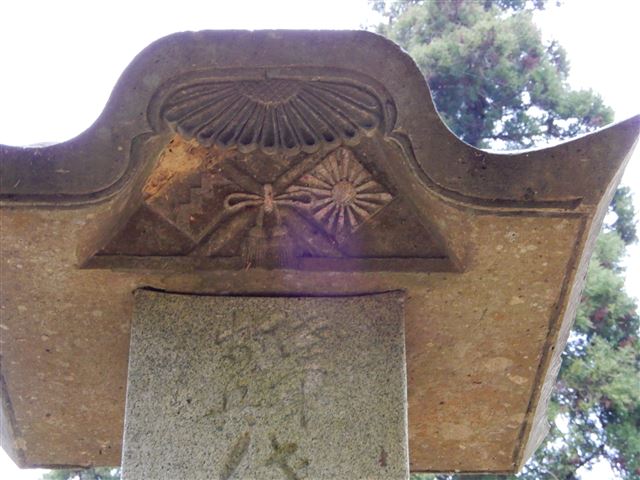 画像の説明