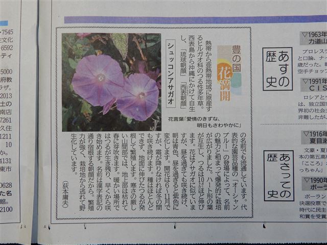 画像の説明