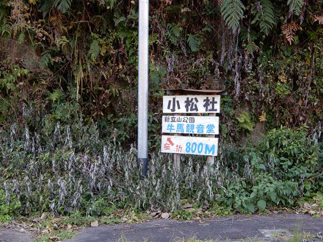 画像の説明