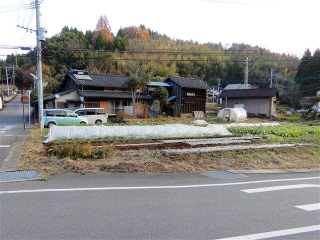 画像の説明