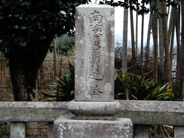 画像の説明