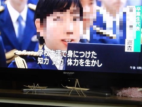 画像の説明