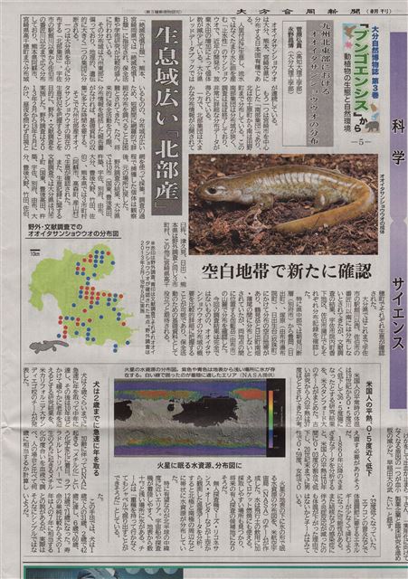 画像の説明