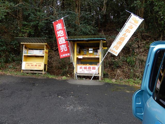 画像の説明