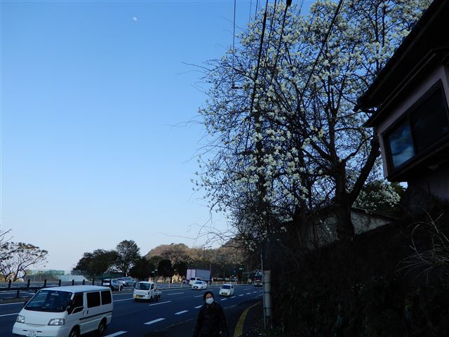 画像の説明 画像の説明