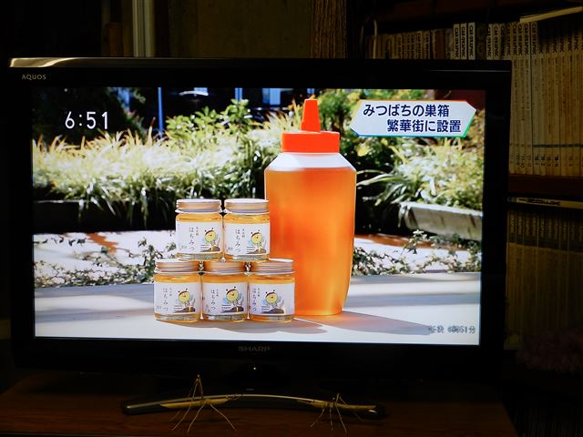 画像の説明