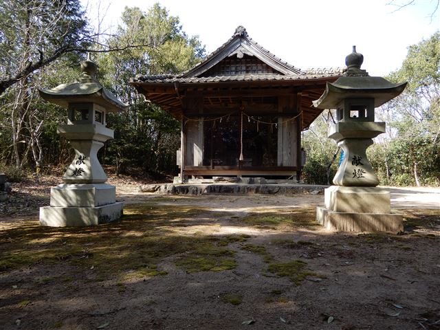画像の説明