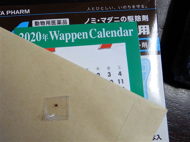 画像の説明