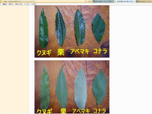 画像の説明 画像の説明