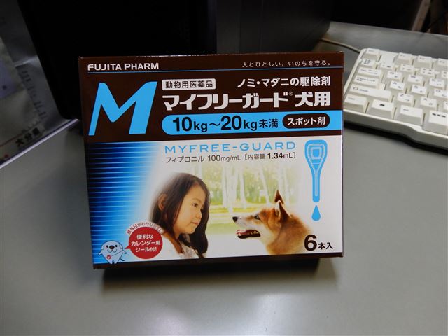 画像の説明