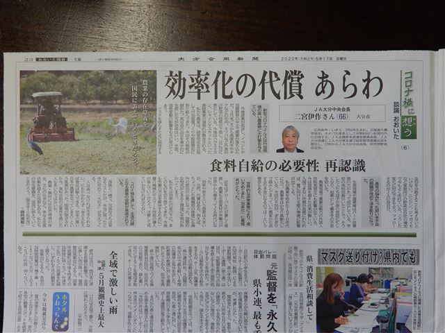 画像の説明