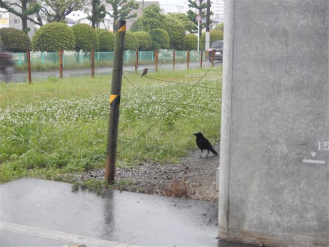 画像の説明 画像の説明
