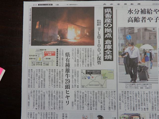 画像の説明 画像の説明