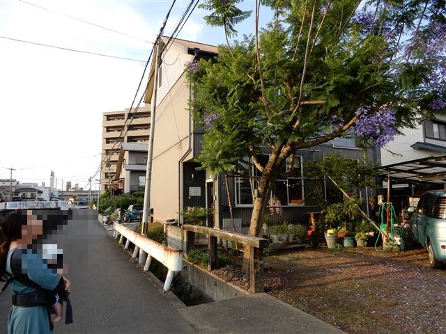 画像の説明