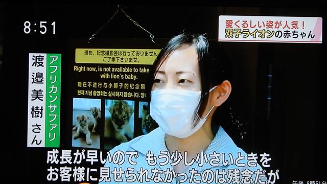 画像の説明