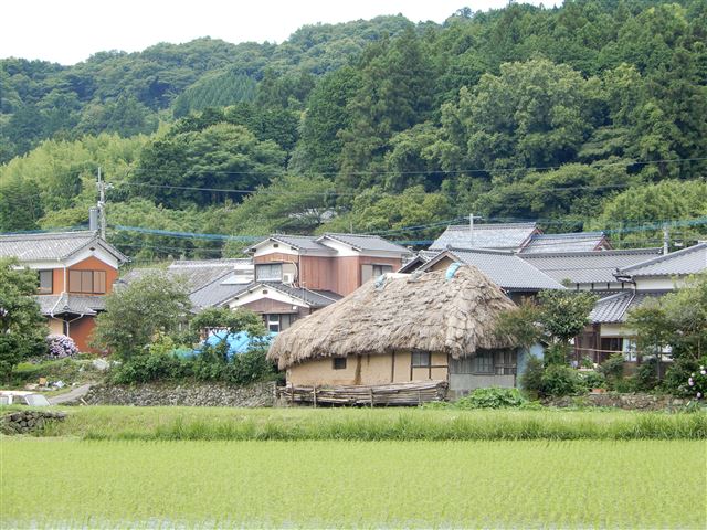 画像の説明