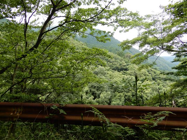 画像の説明