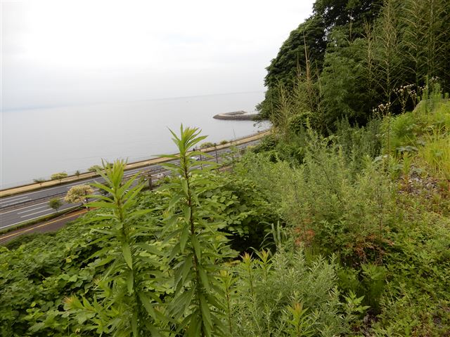 画像の説明 画像の説明