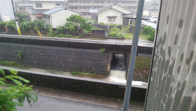 画像の説明