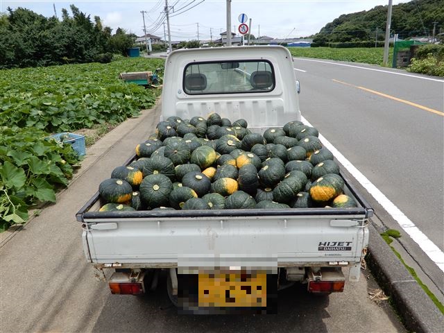 画像の説明