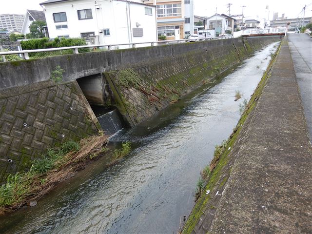 画像の説明