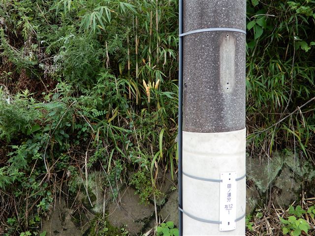 画像の説明