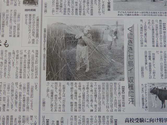 画像の説明