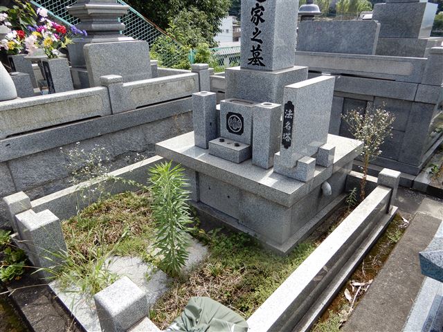 画像の説明
