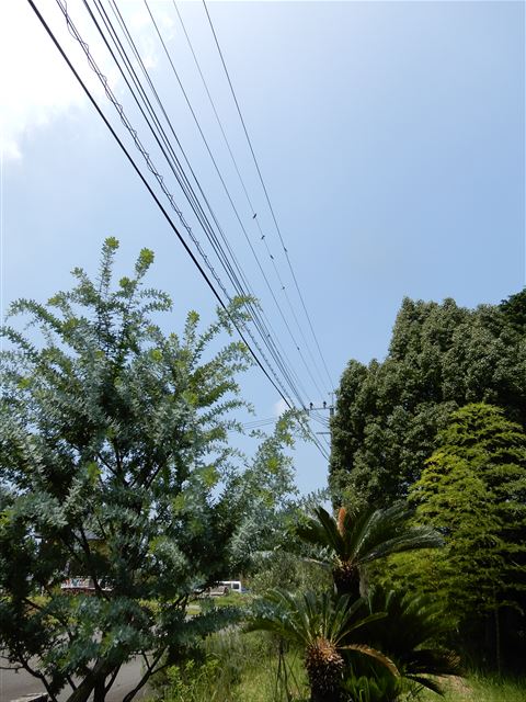 画像の説明 画像の説明