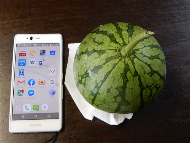 画像の説明