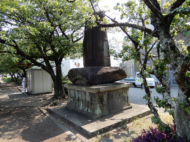 画像の説明