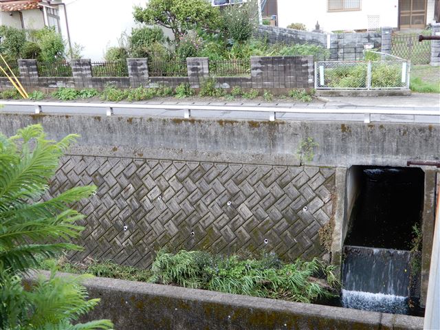 画像の説明 画像の説明