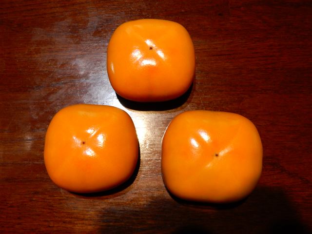画像の説明 画像の説明